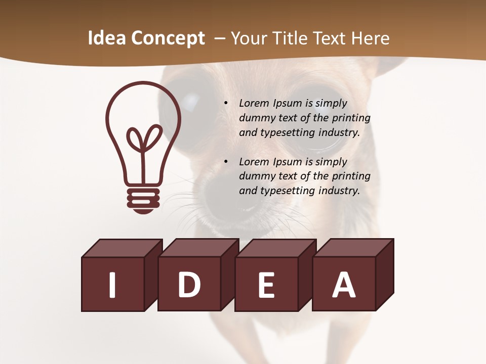 Chihuahua Funny Mutt PowerPoint Template