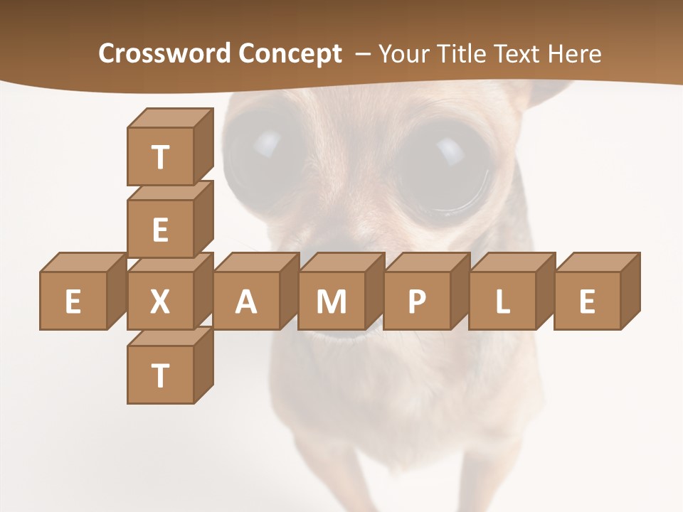 Chihuahua Funny Mutt PowerPoint Template