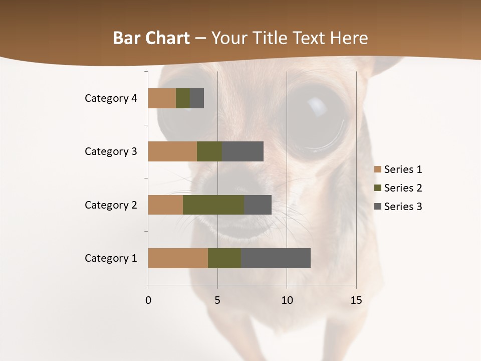 Chihuahua Funny Mutt PowerPoint Template