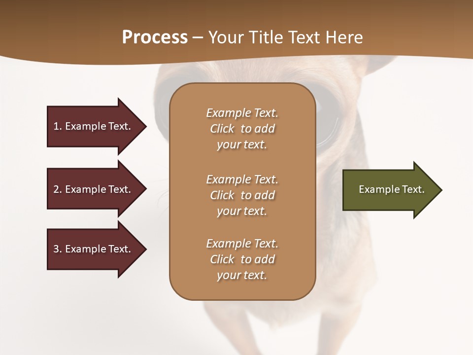 Chihuahua Funny Mutt PowerPoint Template