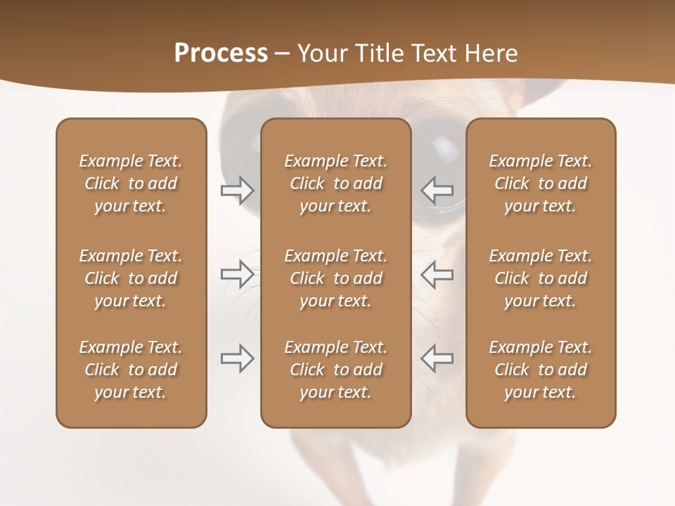 Chihuahua Funny Mutt PowerPoint Template