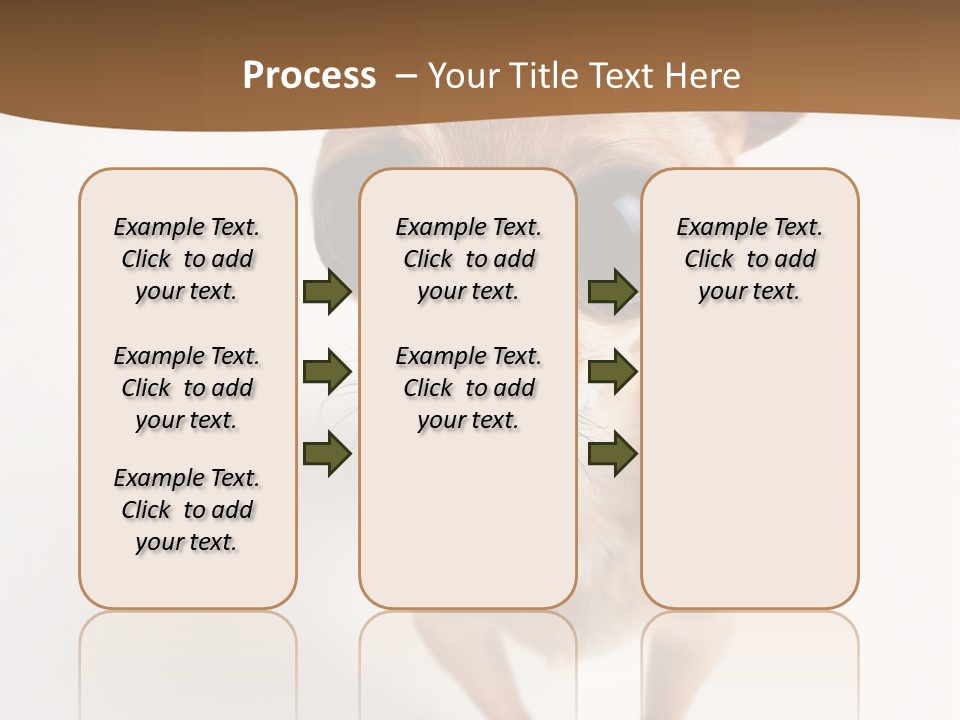 Chihuahua Funny Mutt PowerPoint Template