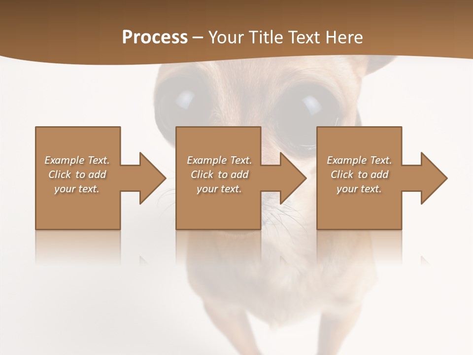 Chihuahua Funny Mutt PowerPoint Template