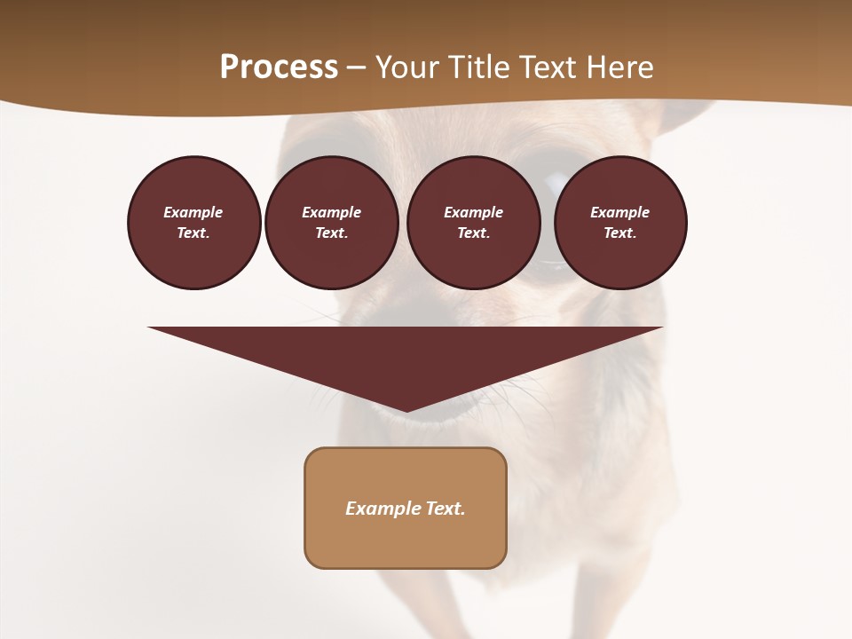 Chihuahua Funny Mutt PowerPoint Template