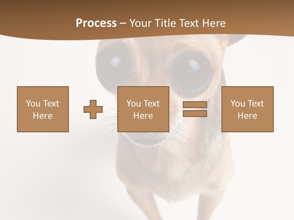 Chihuahua Funny Mutt PowerPoint Template