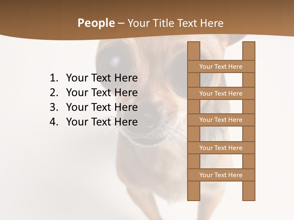 Chihuahua Funny Mutt PowerPoint Template