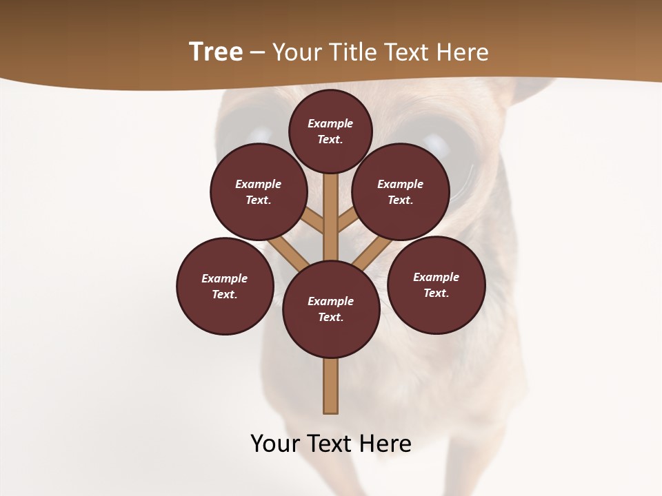 Chihuahua Funny Mutt PowerPoint Template