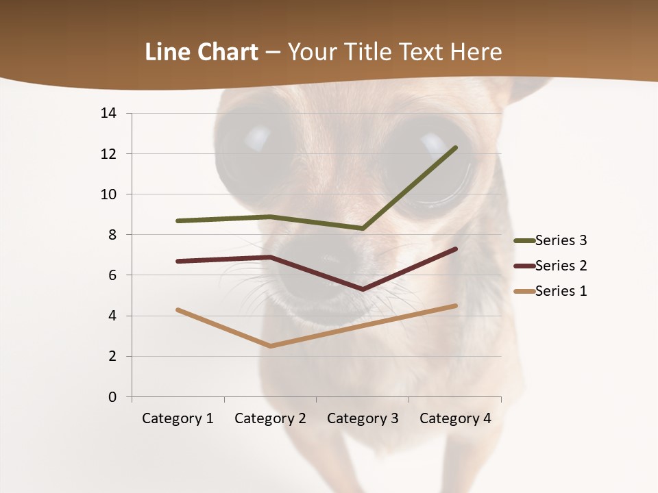 Chihuahua Funny Mutt PowerPoint Template
