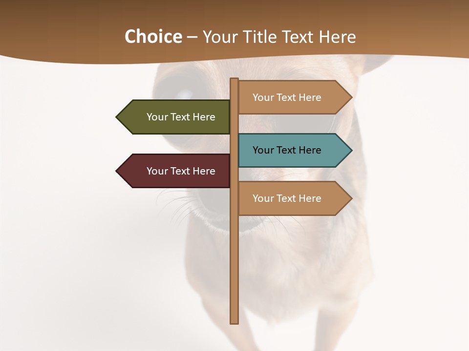 Chihuahua Funny Mutt PowerPoint Template