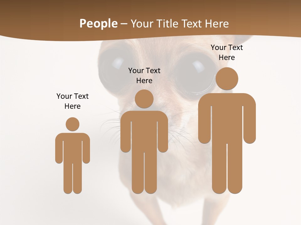 Chihuahua Funny Mutt PowerPoint Template