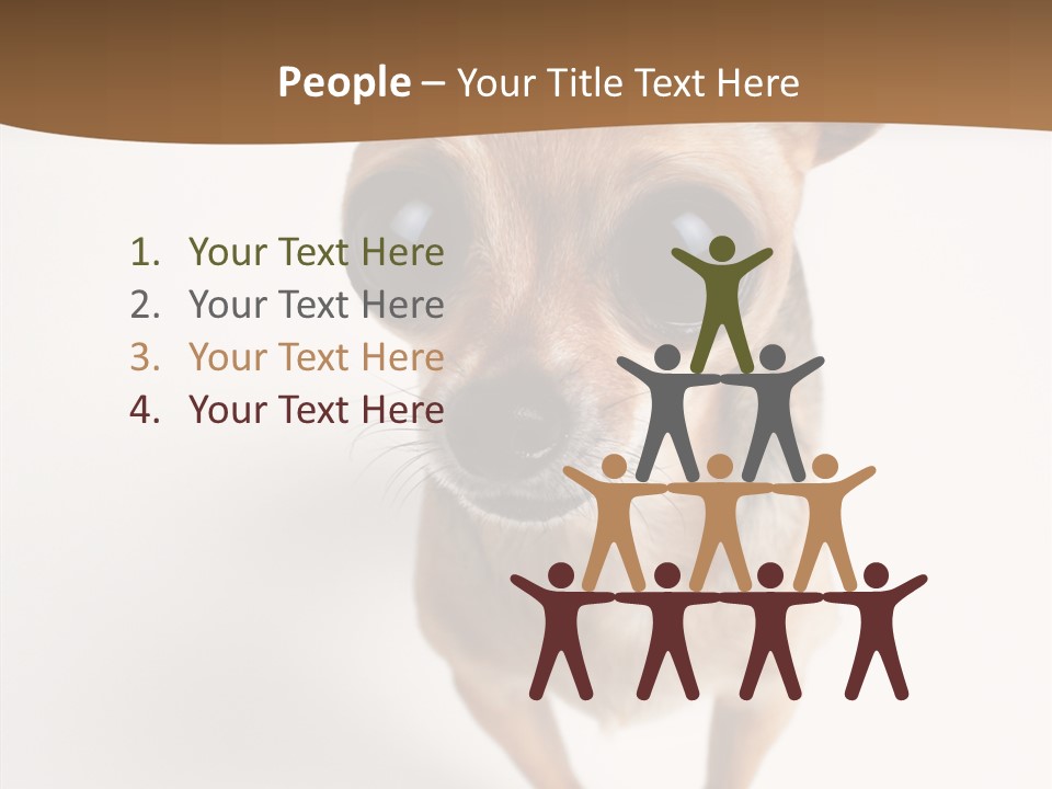 Chihuahua Funny Mutt PowerPoint Template
