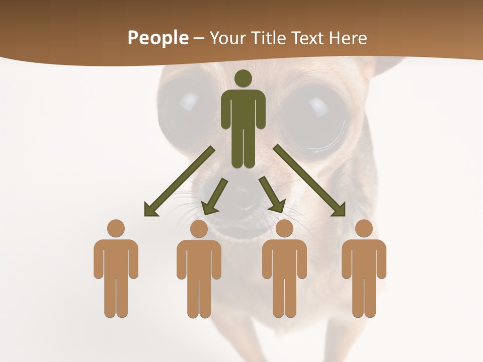 Chihuahua Funny Mutt PowerPoint Template