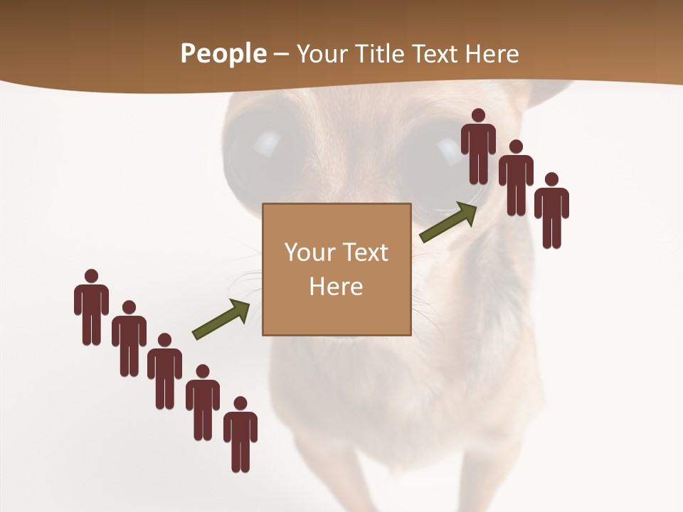 Chihuahua Funny Mutt PowerPoint Template