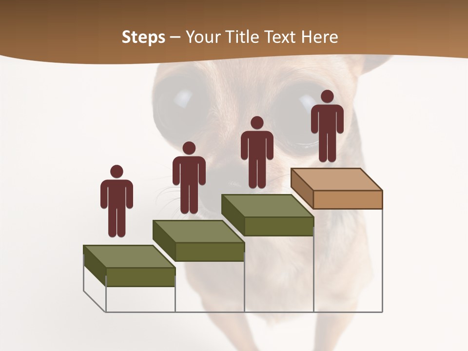Chihuahua Funny Mutt PowerPoint Template