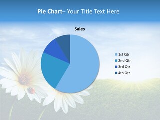 Countryside Idyllic Scenic PowerPoint Template