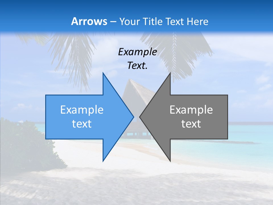 Ocean Palm Sand PowerPoint Template