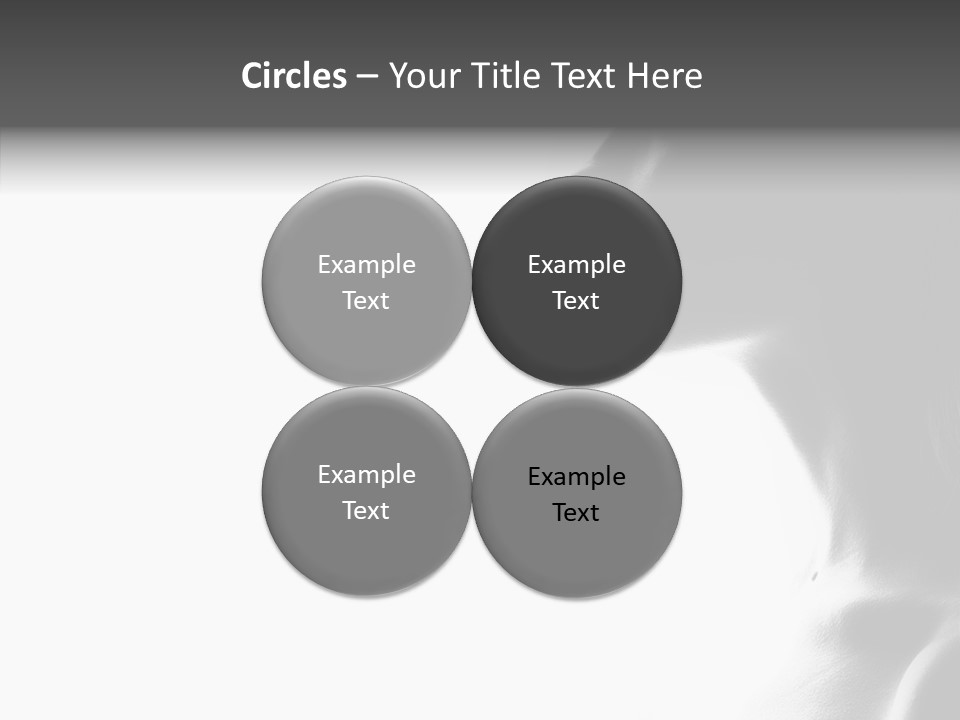 Bobbins Fabric Tape PowerPoint Template