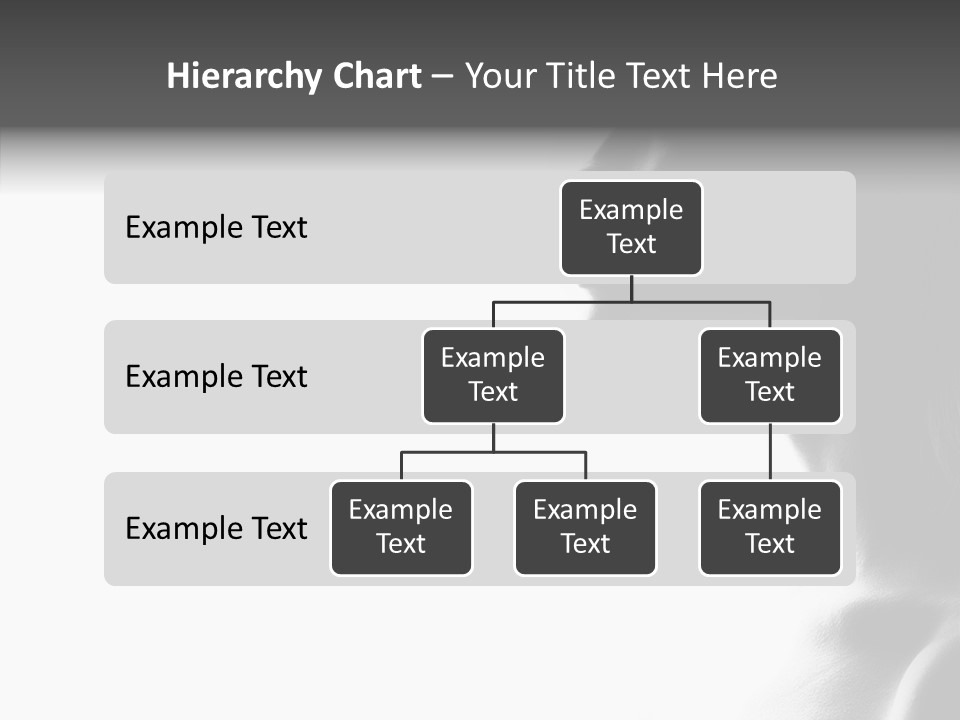 Bobbins Fabric Tape PowerPoint Template