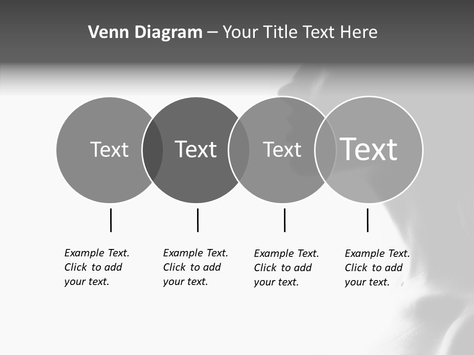 Bobbins Fabric Tape PowerPoint Template