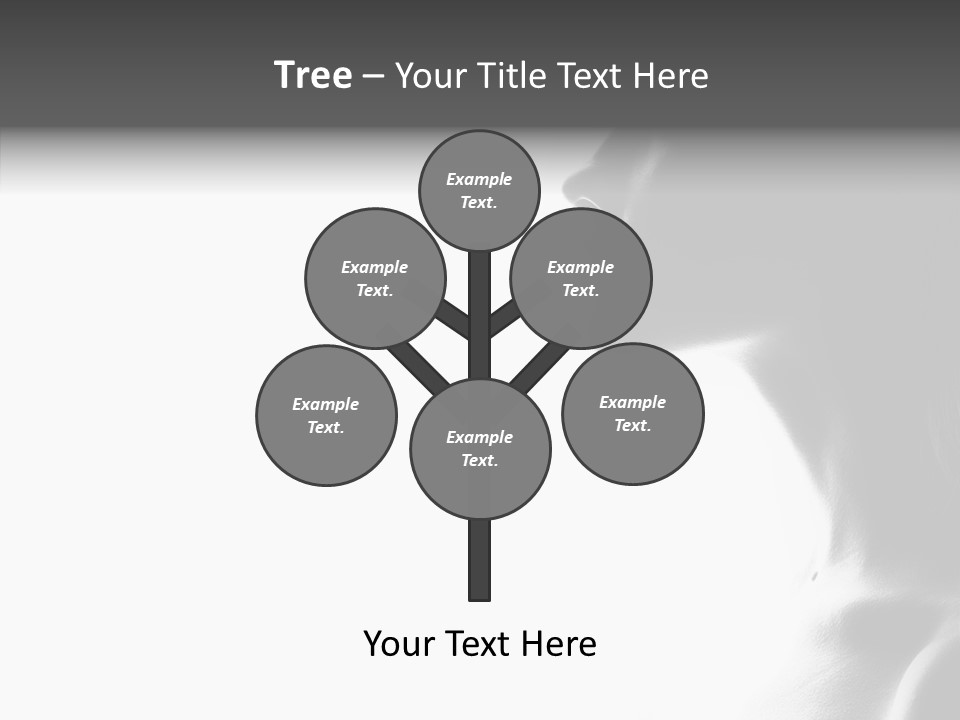 Bobbins Fabric Tape PowerPoint Template