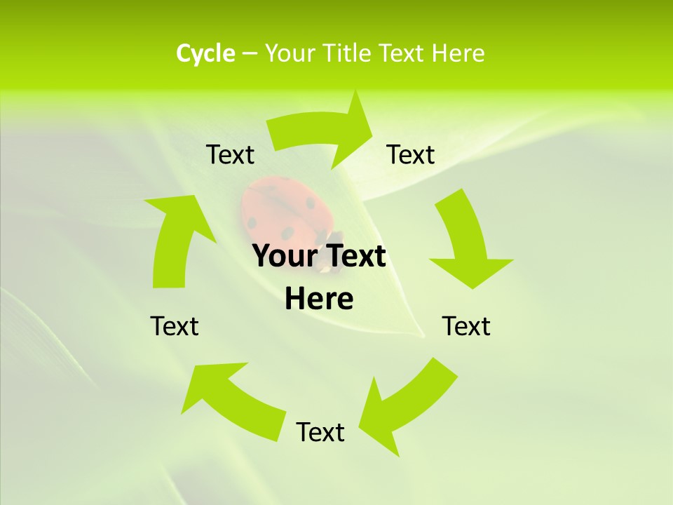 Idyllic Spring Grass PowerPoint Template