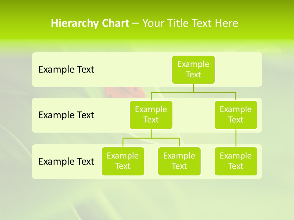 Idyllic Spring Grass PowerPoint Template