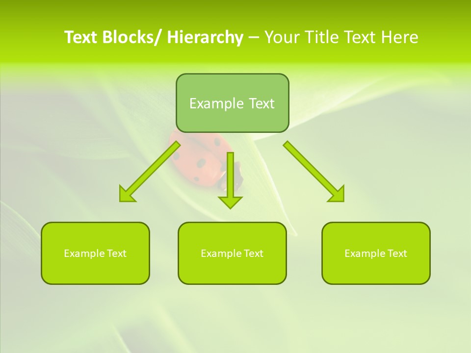 Idyllic Spring Grass PowerPoint Template