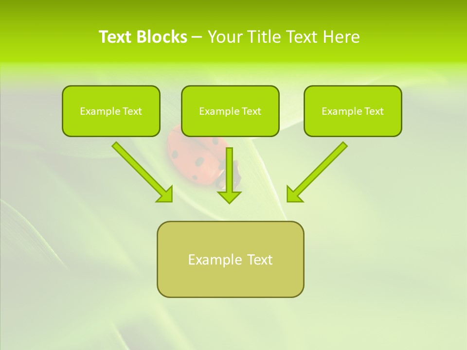 Idyllic Spring Grass PowerPoint Template