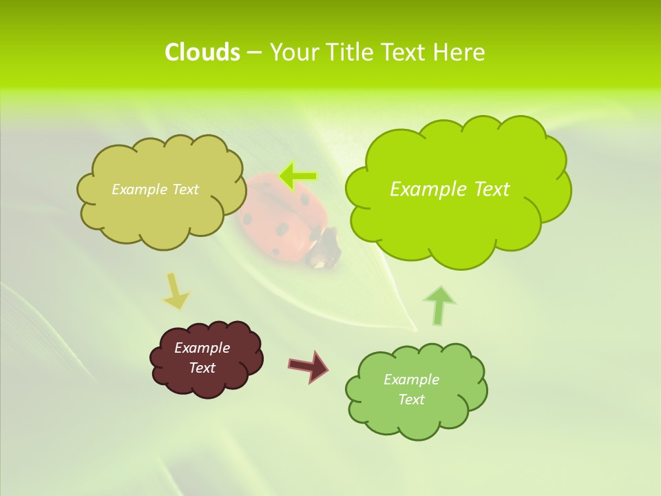 Idyllic Spring Grass PowerPoint Template