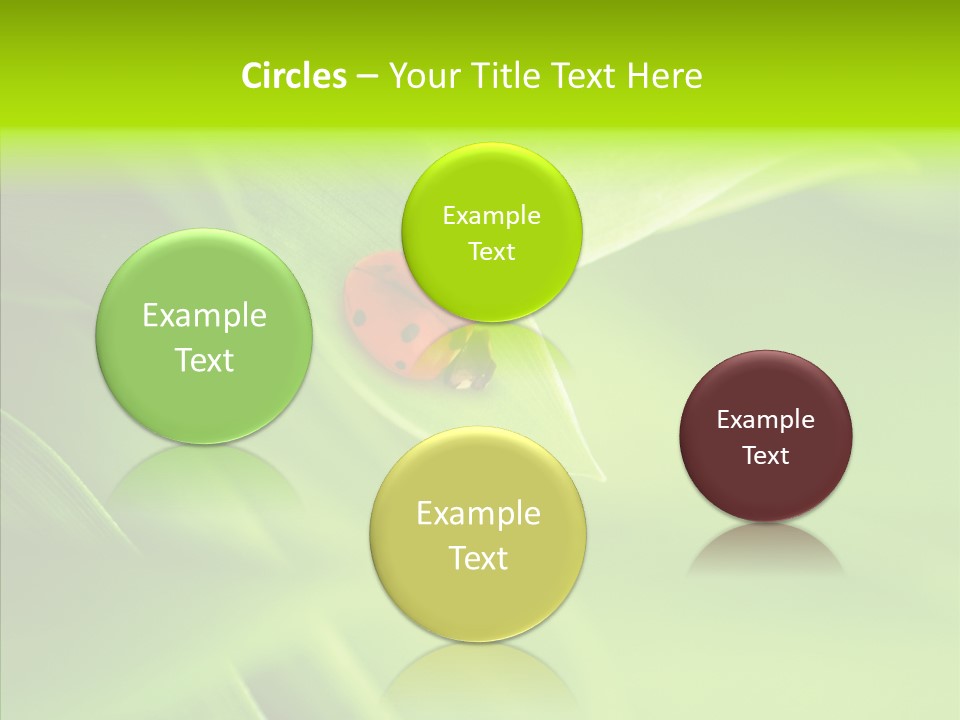 Idyllic Spring Grass PowerPoint Template