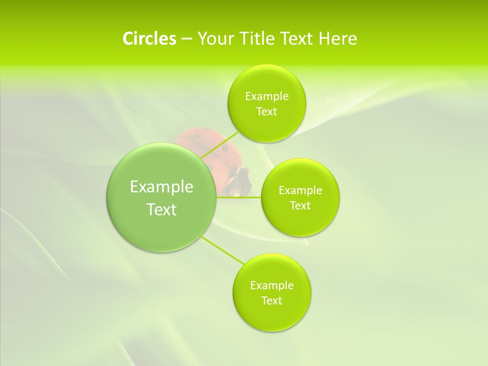 Idyllic Spring Grass PowerPoint Template