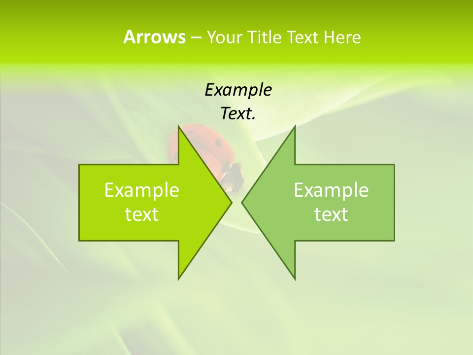 Idyllic Spring Grass PowerPoint Template