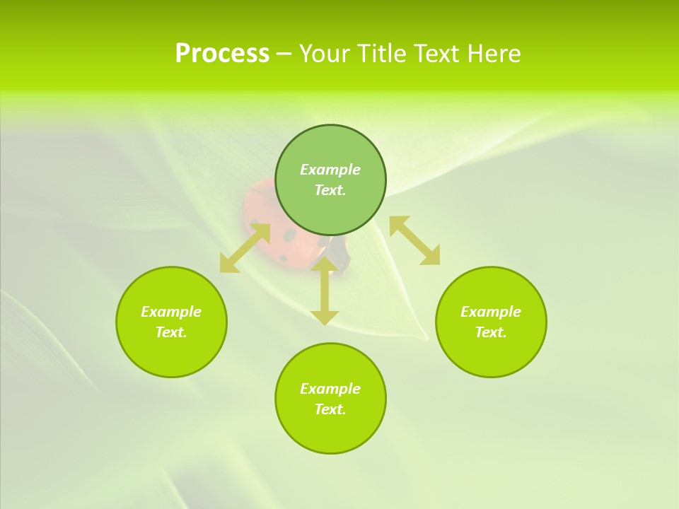 Idyllic Spring Grass PowerPoint Template