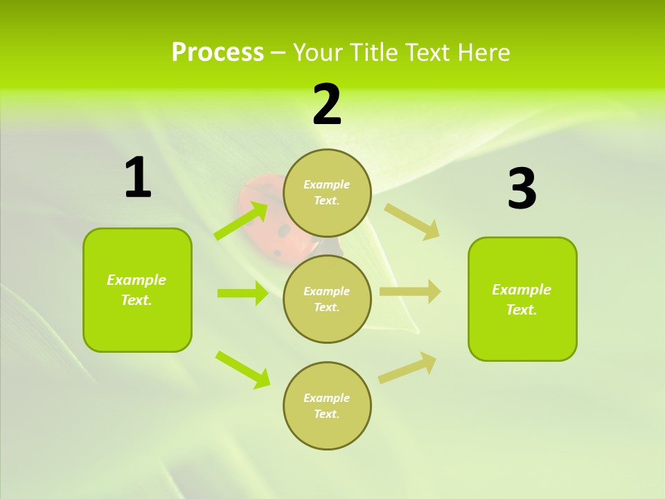Idyllic Spring Grass PowerPoint Template