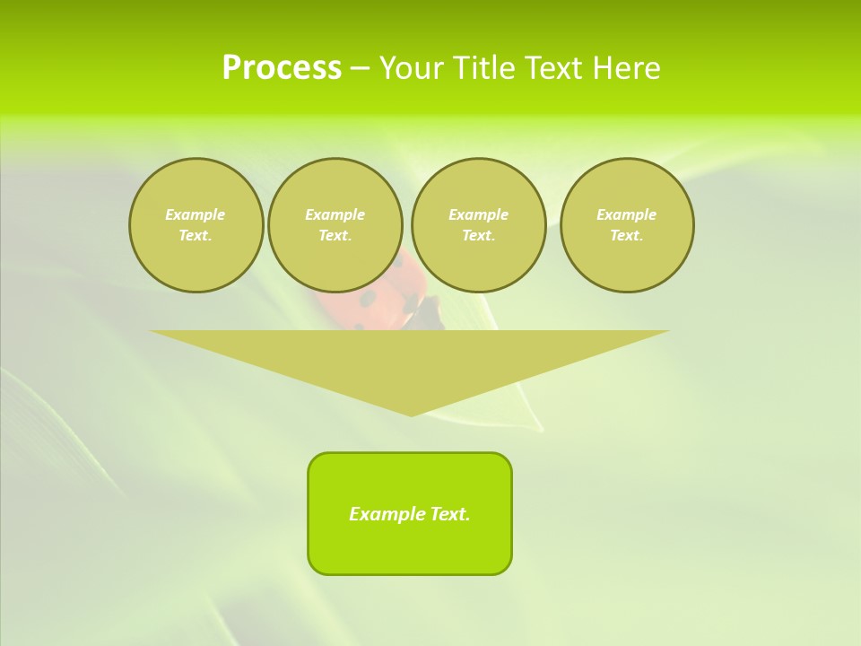Idyllic Spring Grass PowerPoint Template
