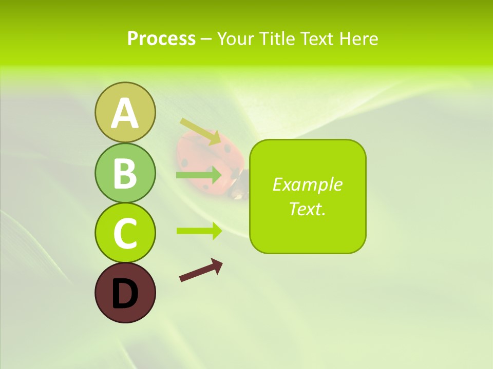 Idyllic Spring Grass PowerPoint Template