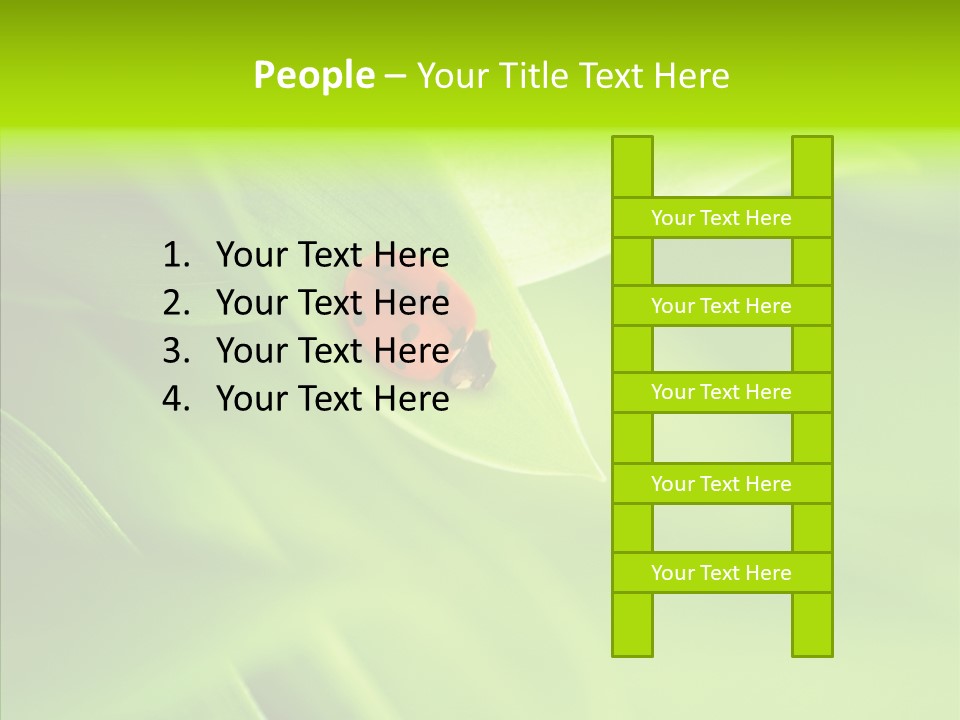 Idyllic Spring Grass PowerPoint Template