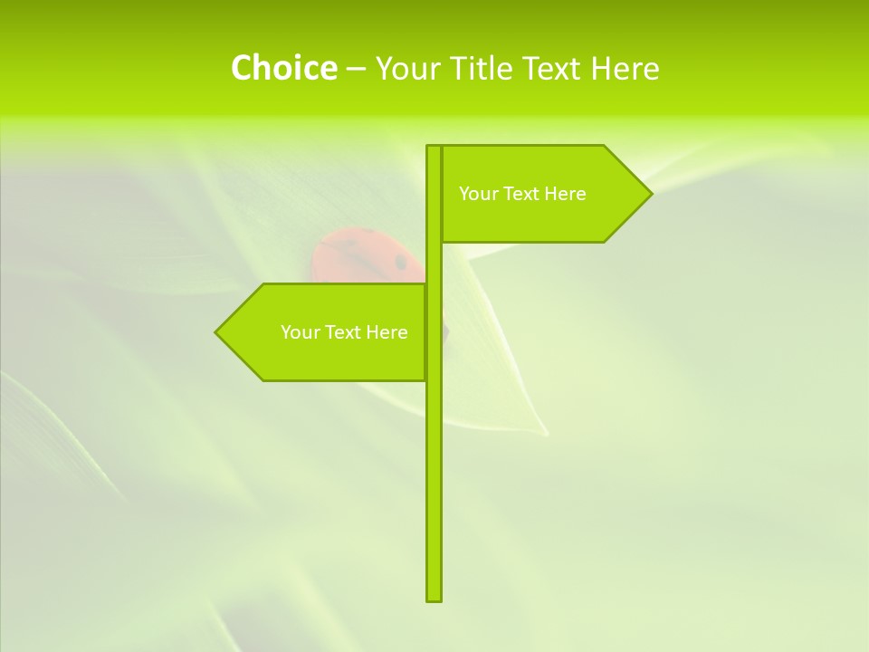 Idyllic Spring Grass PowerPoint Template