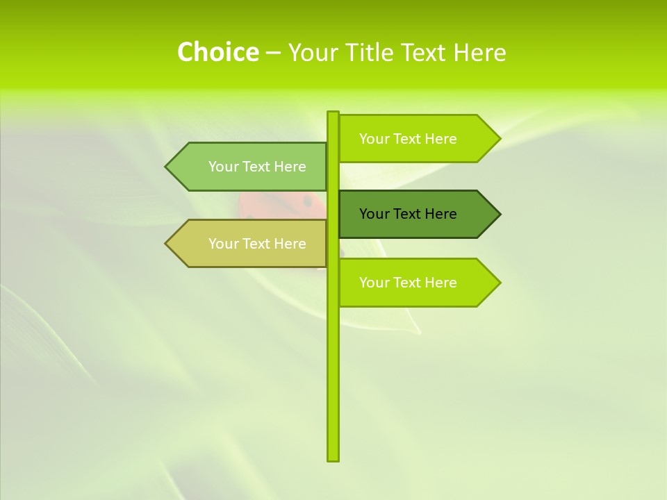 Idyllic Spring Grass PowerPoint Template