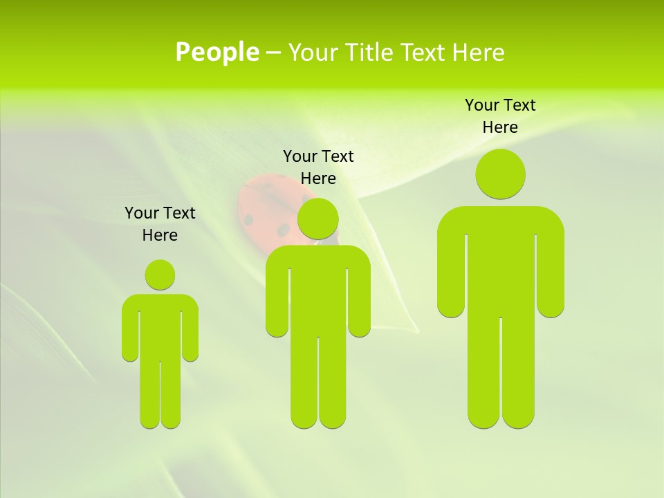 Idyllic Spring Grass PowerPoint Template