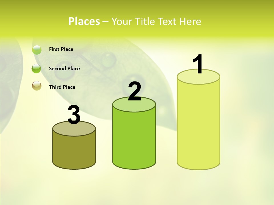 Biology Natural Ladybug PowerPoint Template