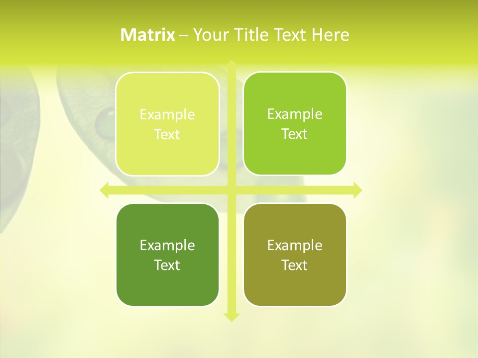 Biology Natural Ladybug PowerPoint Template