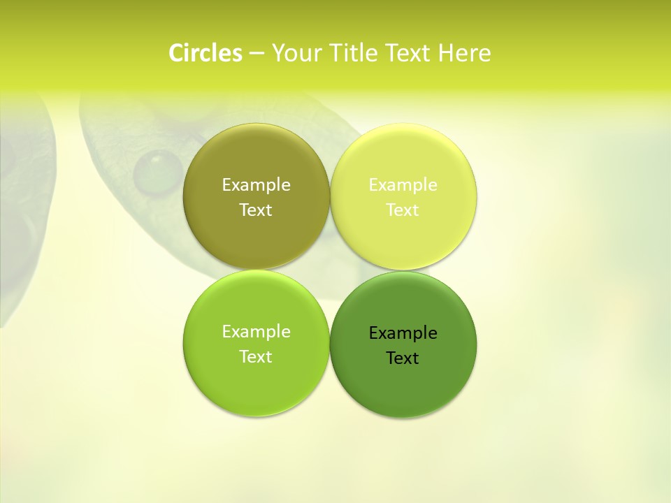 Biology Natural Ladybug PowerPoint Template