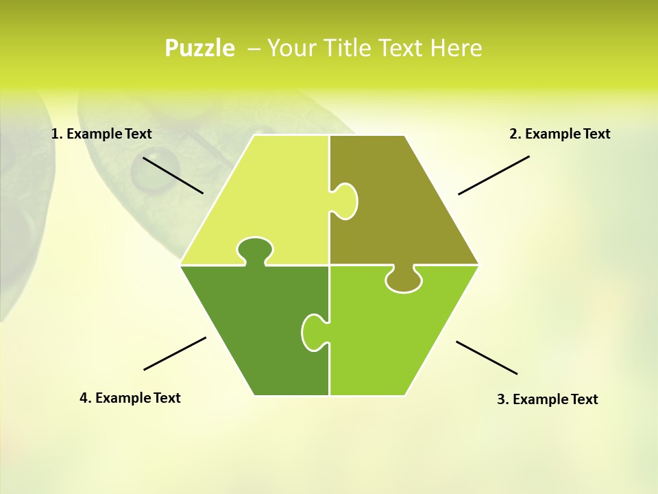 Biology Natural Ladybug PowerPoint Template