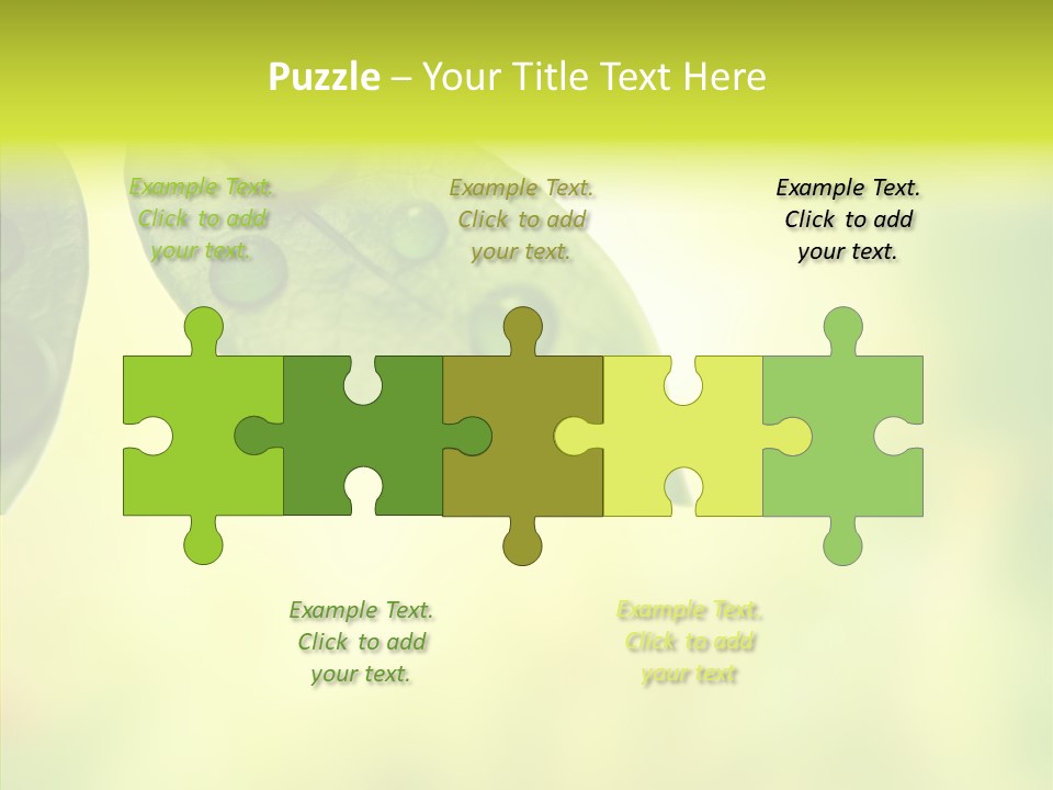 Biology Natural Ladybug PowerPoint Template