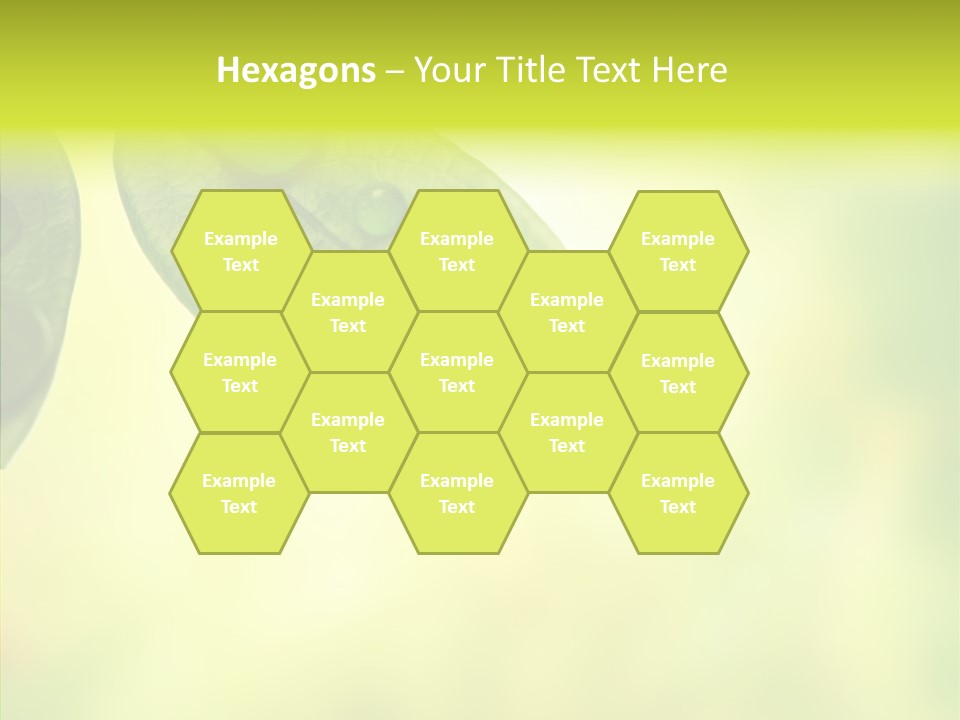Biology Natural Ladybug PowerPoint Template