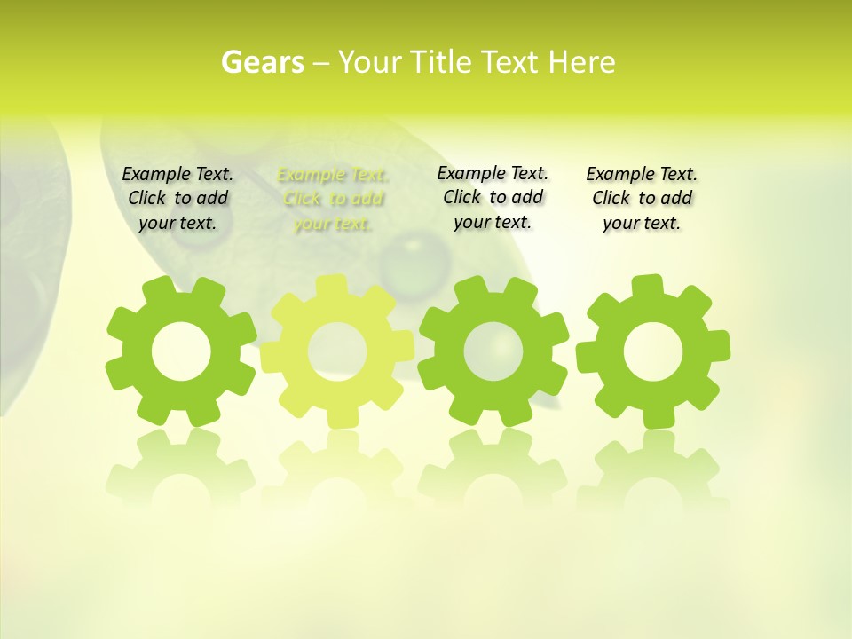 Biology Natural Ladybug PowerPoint Template