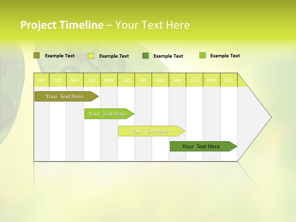 Biology Natural Ladybug PowerPoint Template