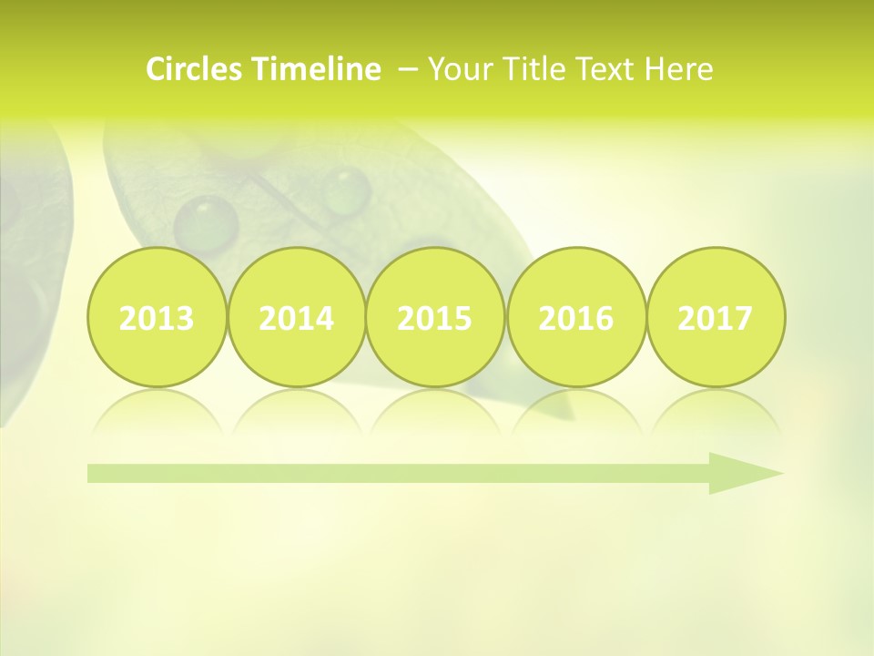 Biology Natural Ladybug PowerPoint Template