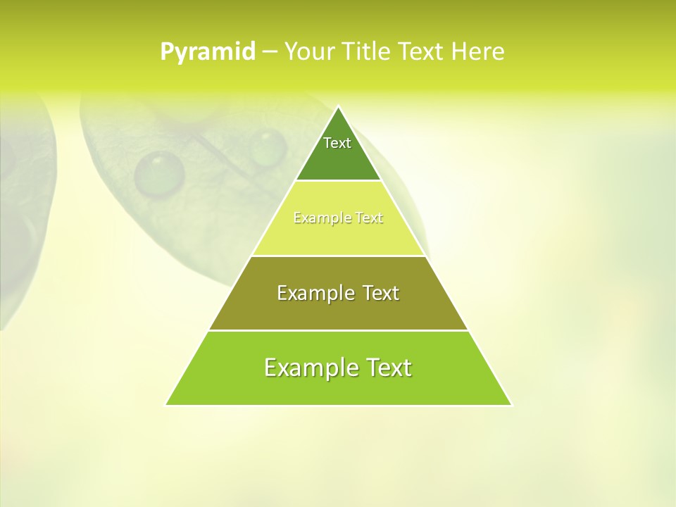 Biology Natural Ladybug PowerPoint Template